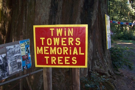 [Twin Towers Memorial Trees]