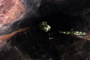 [Inside the Chimney Tree]