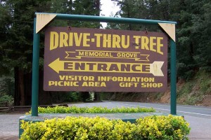 [Drive Thru Tree entrance]