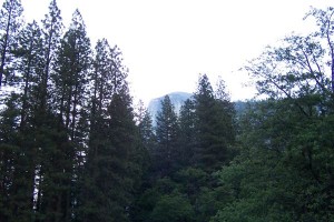 [Half Dome from the trailhead]