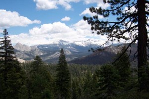 [Scene from road to Glacier Point]