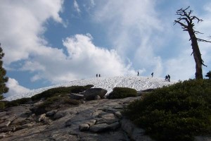 [Trecherous Sentinel Dome]