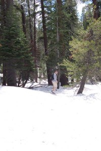 [Jer on trail to Taft Point]